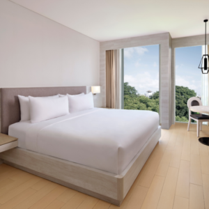 Deluxe Rooms King Size